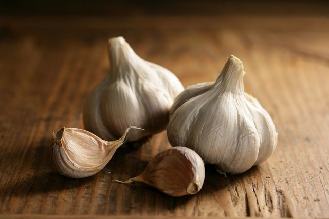 garlic.jpg