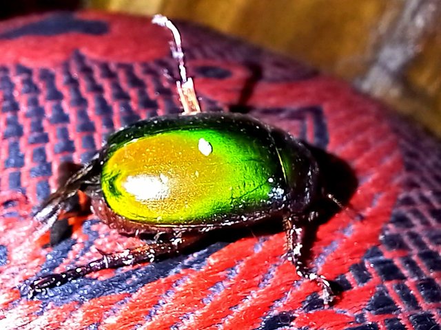20230829_191105.jpg