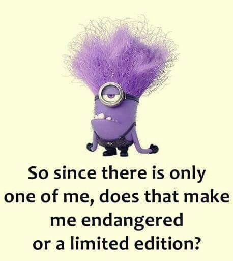 Top-30-Funny-Minion-Memes-extremely-funny.jpg