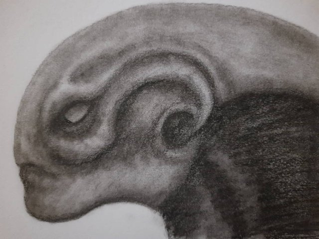 20250719_111128.jpg