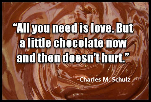 chocolate-all you need is love and chocolate.jpg