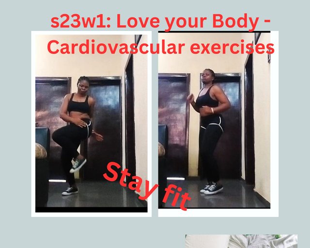 s23w1 Love your Body - Cardiovascular exercises_20250221_182028_0000.jpg