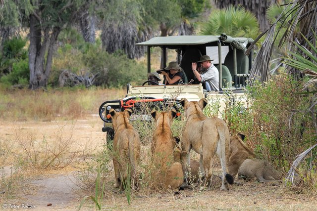 Best Tanzania safari parks to visit for Africa vacation packages.jpg