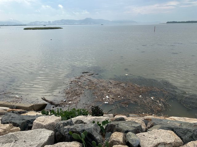 IMG_6969.jpeg