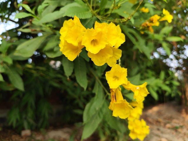 IMG_20250414_172544.jpg