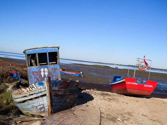 Barco do amor (1).jpg