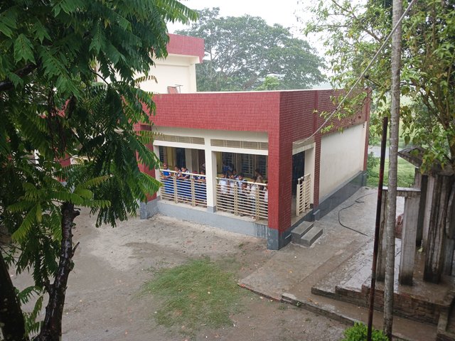 20250504_114716.jpg