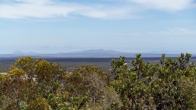 A1V04964.jpg