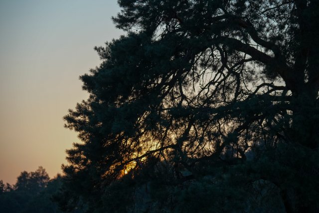 DSC02815.jpg