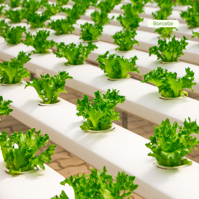 Green and White Simple Agriculture Farming Services Instagram Post (1).png