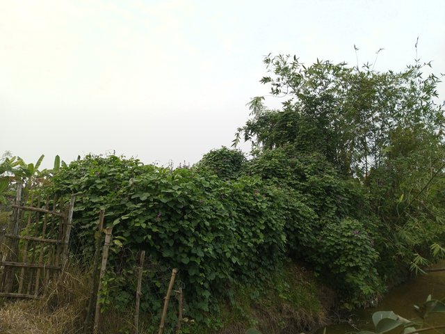 IMG_20240106_170100_264.jpg