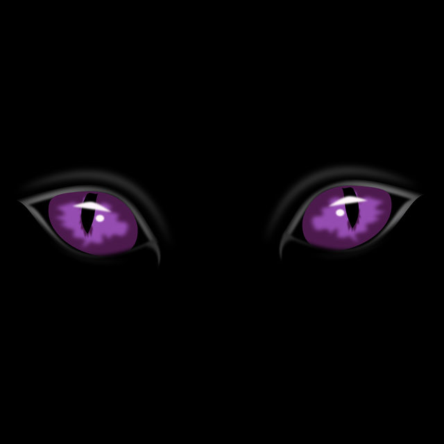 eyes-151201_1280.png