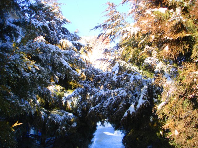DSC00891-222222.jpg
