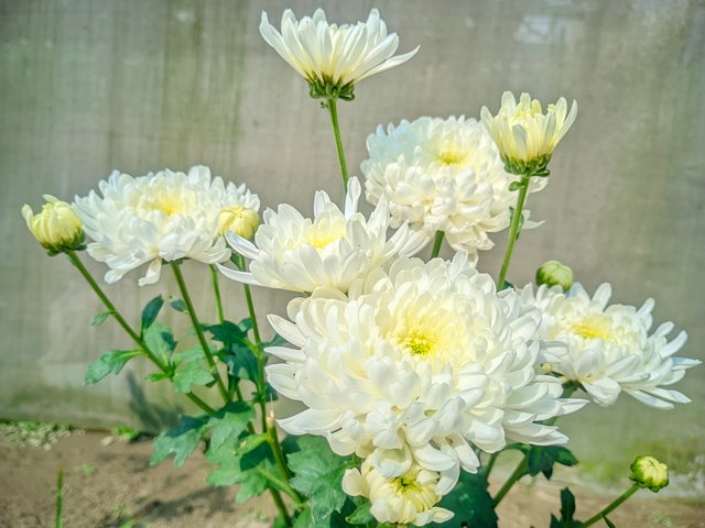 1000011643.jpg