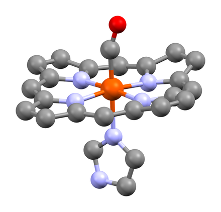 440px-Carboxyhemoglobin_from_1AJ9.png