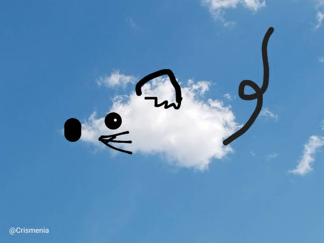 imagen.png