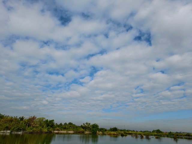 IMG_20250331_081624.jpg