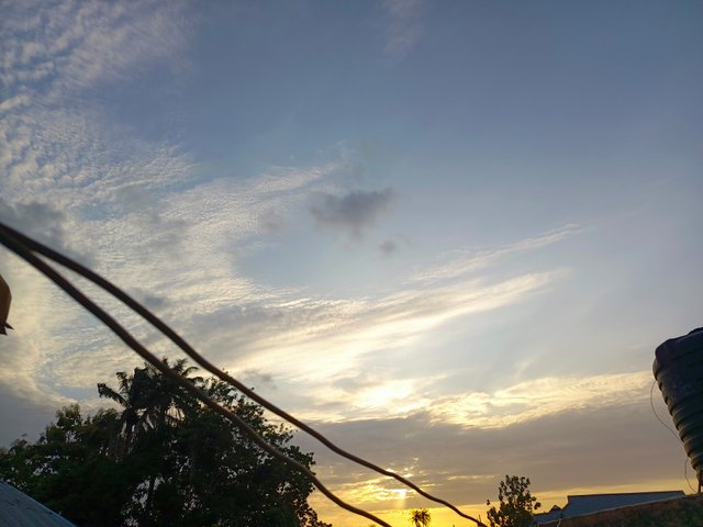 1000553506.jpg