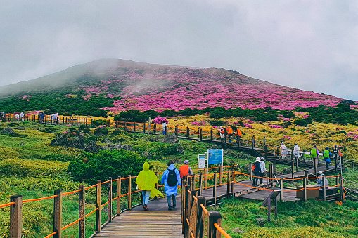 spring-hiking-in-the-hallasan-national-park.jpg