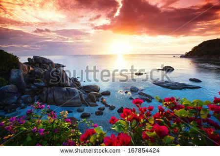 stock-photo-tranquil-beach-resort-beautiful-morning-glory-on-the-koh-samui-thailand-167854424.jpg