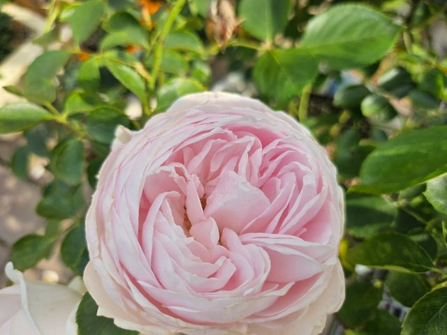 KakaoTalk_20250519_000010318_08.jpg