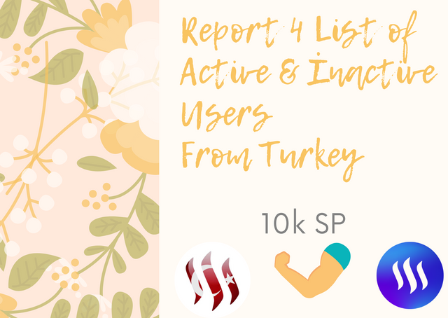 List of Active & İnactive Users (1).png