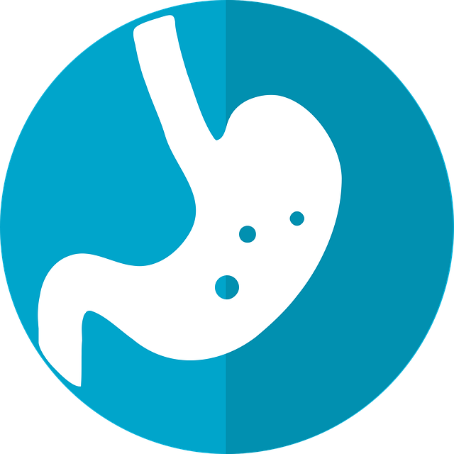 stomach-icon-2316627_640.png