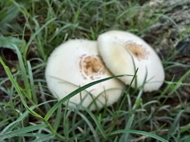 20250524_124054.jpg