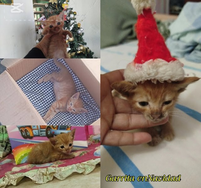 navidad.jpg