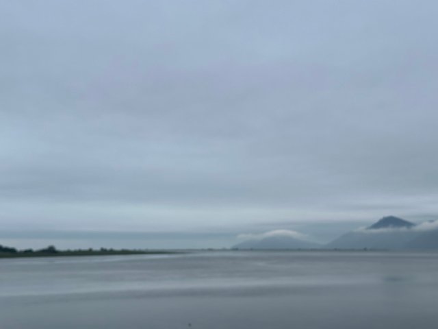 IMG_6977.jpeg