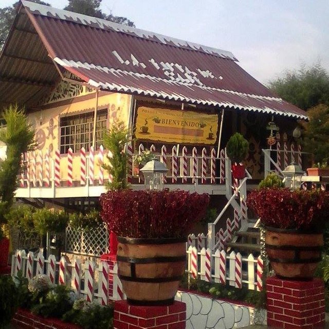 Vamos todos al Meet Up en la Colonia Tovar "Cultivando sonrisas" — Steemit