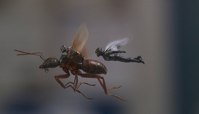 Ant-Man and the Wasp 2018 aft.jpg