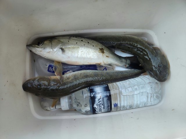 카카오스토리_2025_10_20 23_45_12.jpg