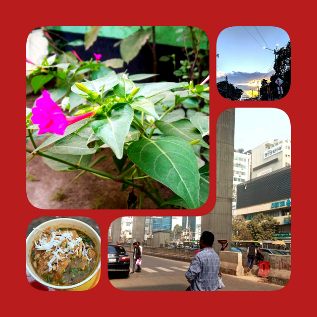 IMG_1713894336698.png