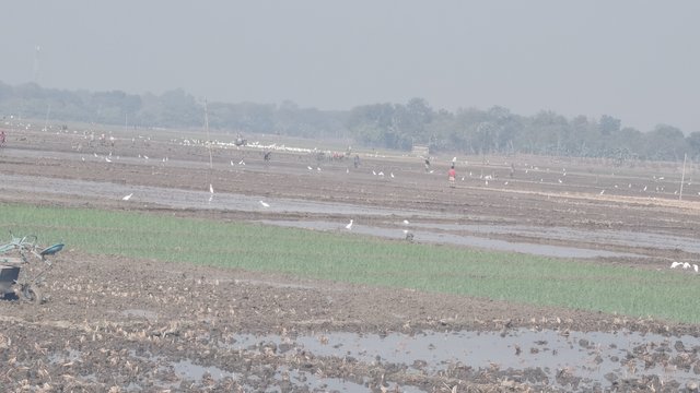 IMG_20250208_094342.jpg