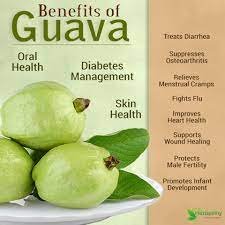 guava.jpg