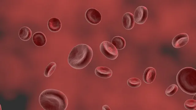 red-blood-cell-5280112_1280.webp