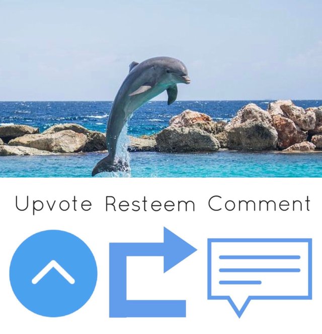E513F521-F28A-4BC4-AD61-59F0DBD3ED3F.jpeg