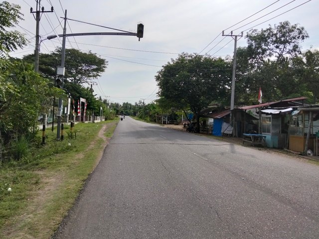 4582.jpg