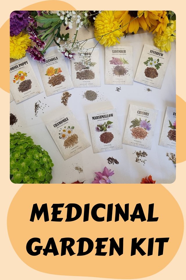 Medicinal-Garden-Kit-5443645.jpeg