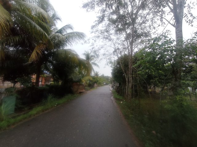 IMG_20250112_071626.jpg