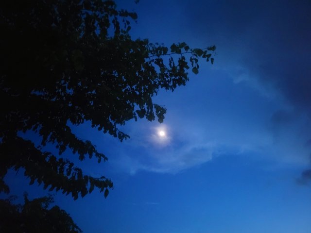 20250730_191952.jpg