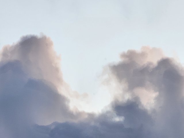 1000035901.jpg