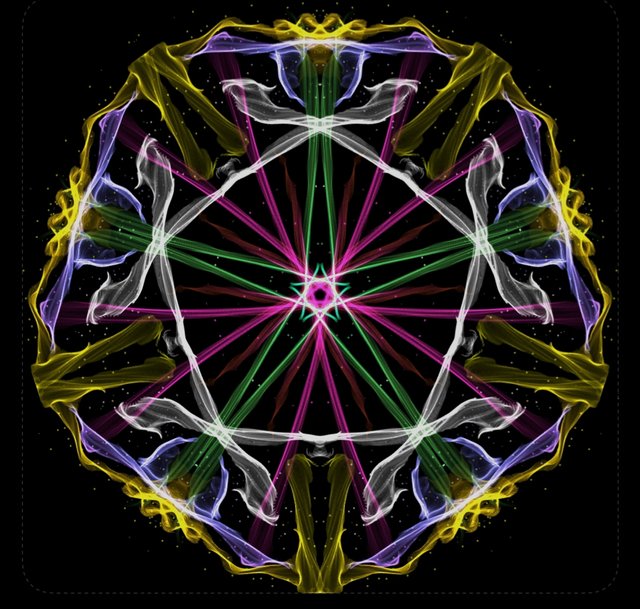 1000174537.jpg