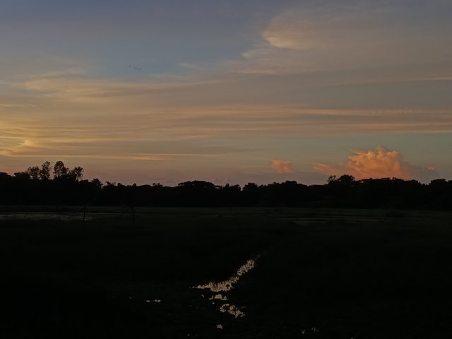 1000011082.jpg