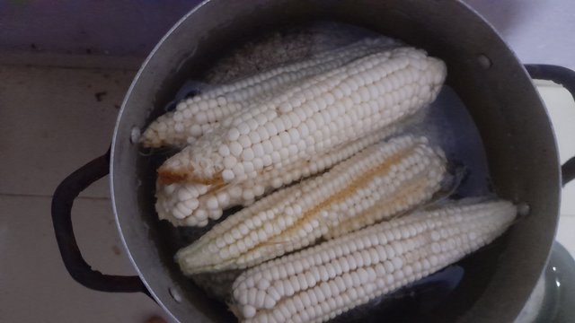 20250513_204245.jpg