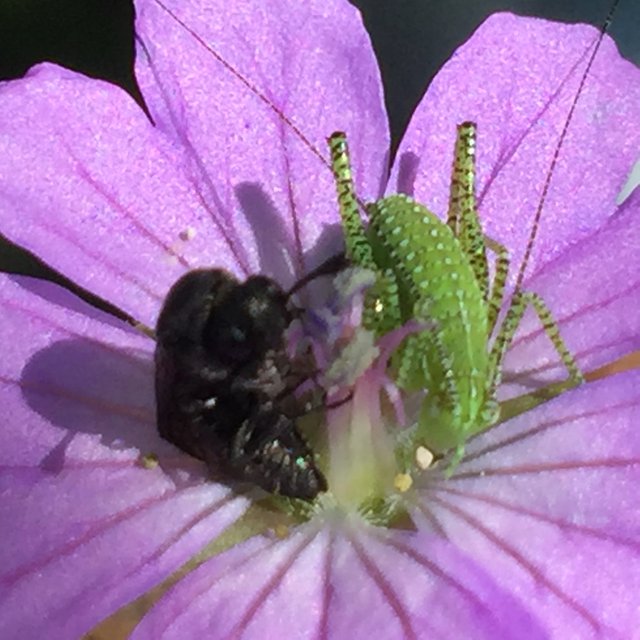 IMG0836.JPG