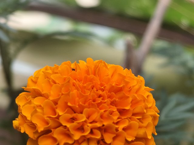 IMG_20250802_130847.jpg