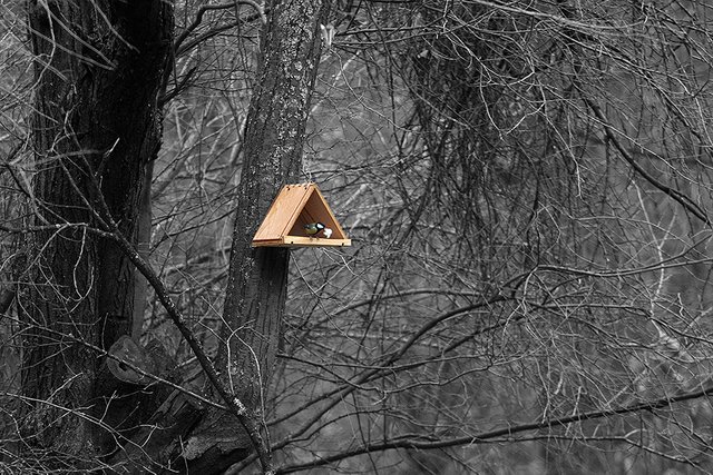 Woodland_Details_007_s_BC.jpg