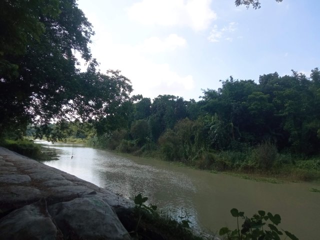 IMG_20250627_151500.jpg
